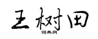 曾庆福王树田行书个性签名怎么写