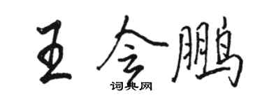 骆恒光王会鹏行书个性签名怎么写