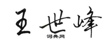 骆恒光王世峰行书个性签名怎么写