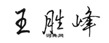 骆恒光王胜峰行书个性签名怎么写