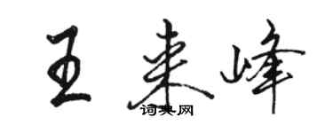 骆恒光王来峰行书个性签名怎么写