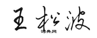 骆恒光王松波行书个性签名怎么写