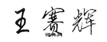 骆恒光王赛辉行书个性签名怎么写