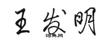 骆恒光王发明行书个性签名怎么写