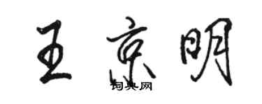 骆恒光王京明行书个性签名怎么写