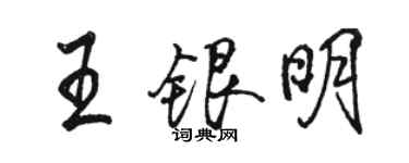 骆恒光王银明行书个性签名怎么写