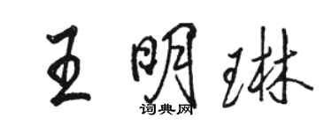 骆恒光王明琳行书个性签名怎么写