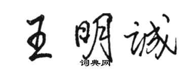 骆恒光王明诚行书个性签名怎么写