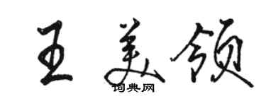 骆恒光王美领行书个性签名怎么写