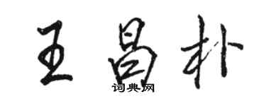 骆恒光王昌朴行书个性签名怎么写