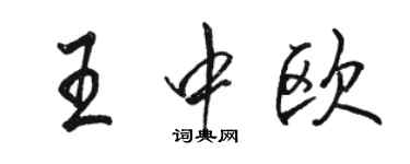 骆恒光王中欧行书个性签名怎么写