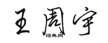 骆恒光王周宇行书个性签名怎么写