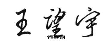 骆恒光王望宇行书个性签名怎么写