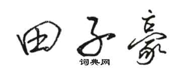 骆恒光田子豪行书个性签名怎么写