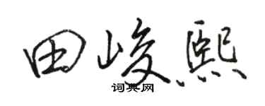 骆恒光田峻熙行书个性签名怎么写