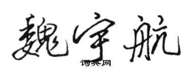 骆恒光魏宇航行书个性签名怎么写