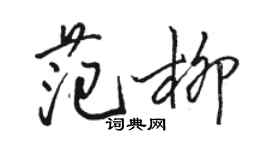 骆恒光范柳行书个性签名怎么写