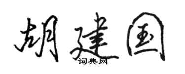 骆恒光胡建国行书个性签名怎么写