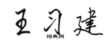 骆恒光王习建行书个性签名怎么写