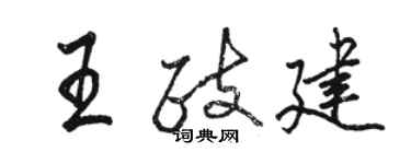 骆恒光王政建行书个性签名怎么写