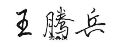 骆恒光王腾兵行书个性签名怎么写