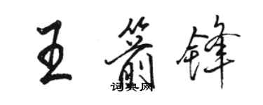 骆恒光王箭锋行书个性签名怎么写