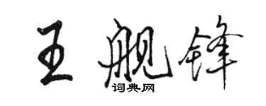 骆恒光王舰锋行书个性签名怎么写