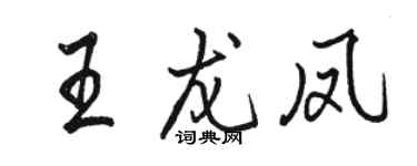 骆恒光王龙凤行书个性签名怎么写