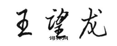 骆恒光王望龙行书个性签名怎么写