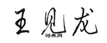 骆恒光王见龙行书个性签名怎么写