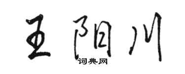 骆恒光王阳川行书个性签名怎么写