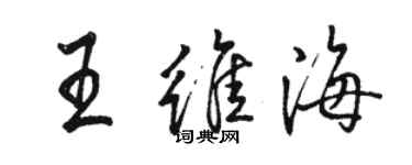 骆恒光王维海行书个性签名怎么写