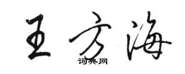 骆恒光王方海行书个性签名怎么写