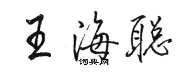 骆恒光王海聪行书个性签名怎么写