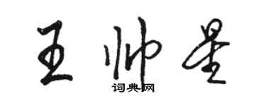 骆恒光王帅星行书个性签名怎么写