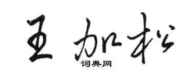 骆恒光王加松行书个性签名怎么写