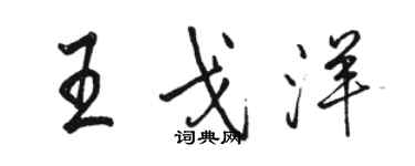 骆恒光王戈洋行书个性签名怎么写