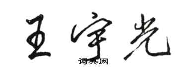 骆恒光王宇光行书个性签名怎么写