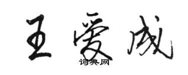 骆恒光王爱成行书个性签名怎么写