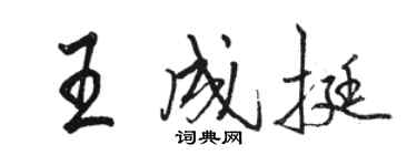 骆恒光王成挺行书个性签名怎么写
