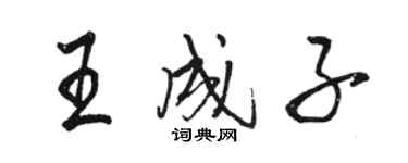 骆恒光王成子行书个性签名怎么写