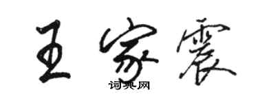骆恒光王家震行书个性签名怎么写