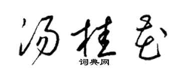 梁锦英汤桂花草书个性签名怎么写