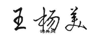 骆恒光王杨美行书个性签名怎么写