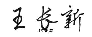 骆恒光王长新行书个性签名怎么写