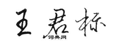 骆恒光王君标行书个性签名怎么写