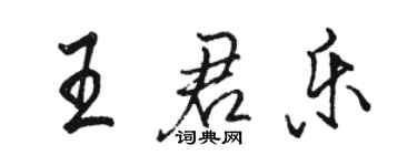 骆恒光王君乐行书个性签名怎么写