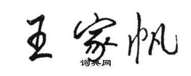 骆恒光王家帆行书个性签名怎么写