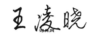 骆恒光王凌晓行书个性签名怎么写