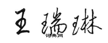 骆恒光王瑞琳行书个性签名怎么写